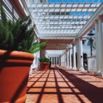 green plants on brown clay pot